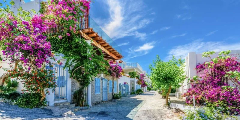 Azerbaijan Airlines Bodrum Office in Türkiye